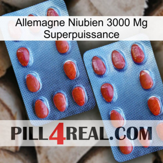 Germany Niubian 3000 Mg Superpower 05